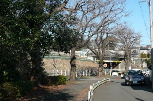 町田市②