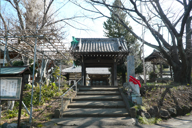 妙蓮寺①