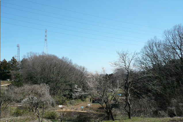 尾根道②
