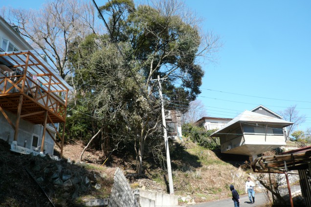 P1100567