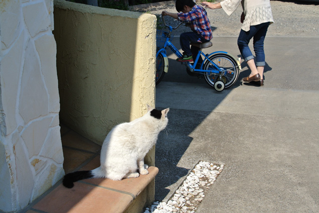 20140509-02