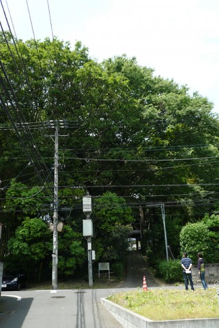 相模原市