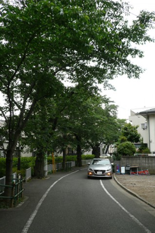 世田谷区