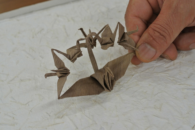 turu-01