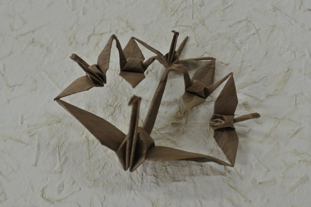 turu-02