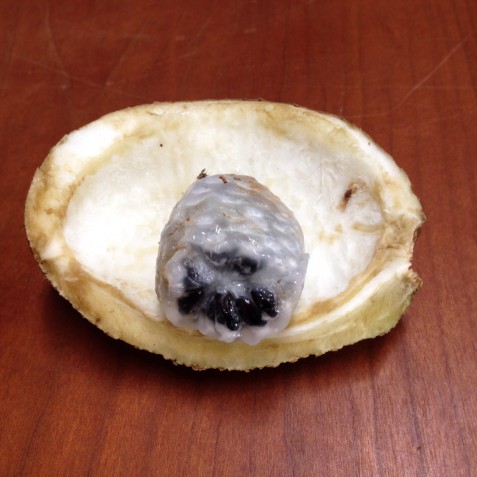 中身はタネだらけ