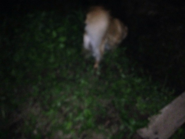 sS__2359375