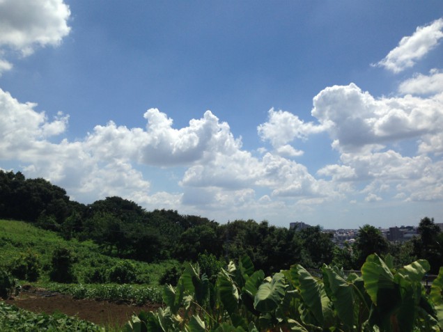 sIMG_2045