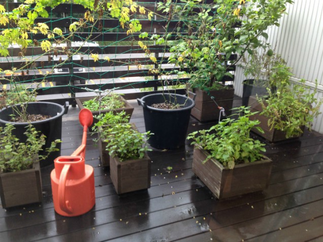 木の鉢植えカバーと赤いジョウロ