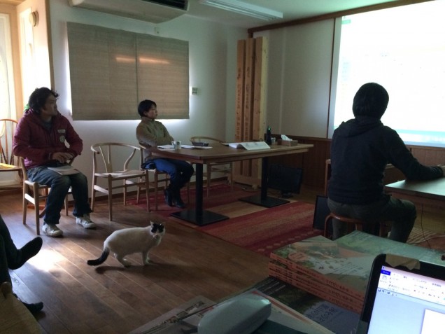 猫　チビ　会議