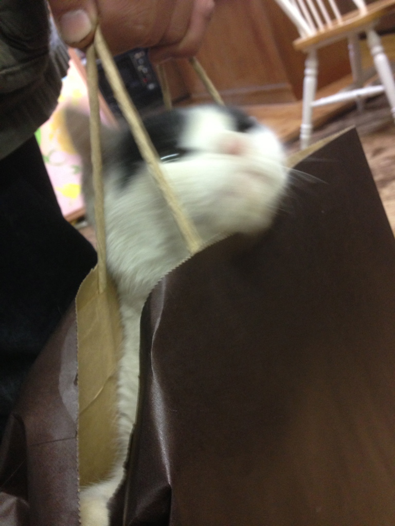 チビ紙袋４