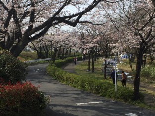 尾根緑道