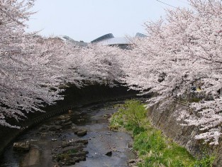 ondagawa