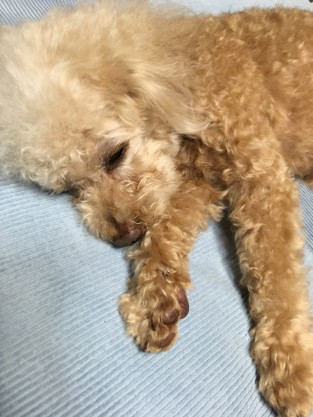 幸せ