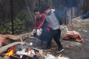 芋を焚火に投入