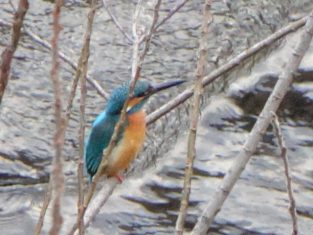 20160223162912_DSC07410