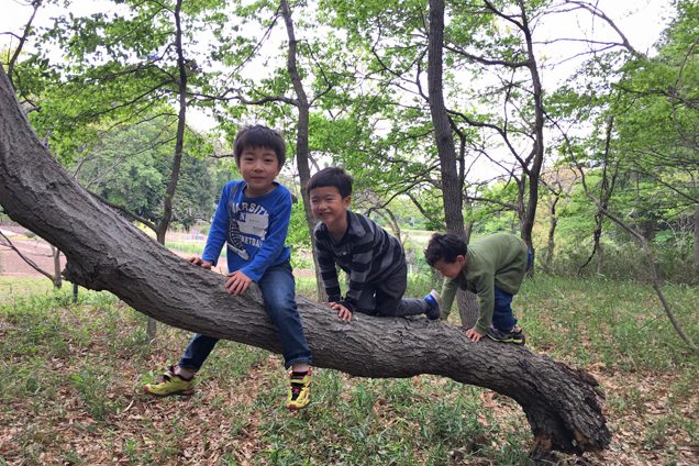 木登り