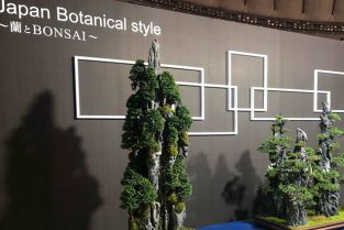 BONSAI
