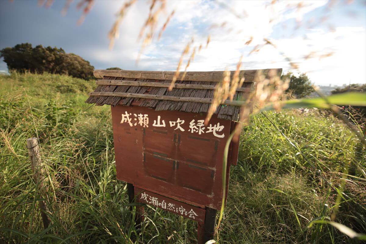 成瀬山吹緑地